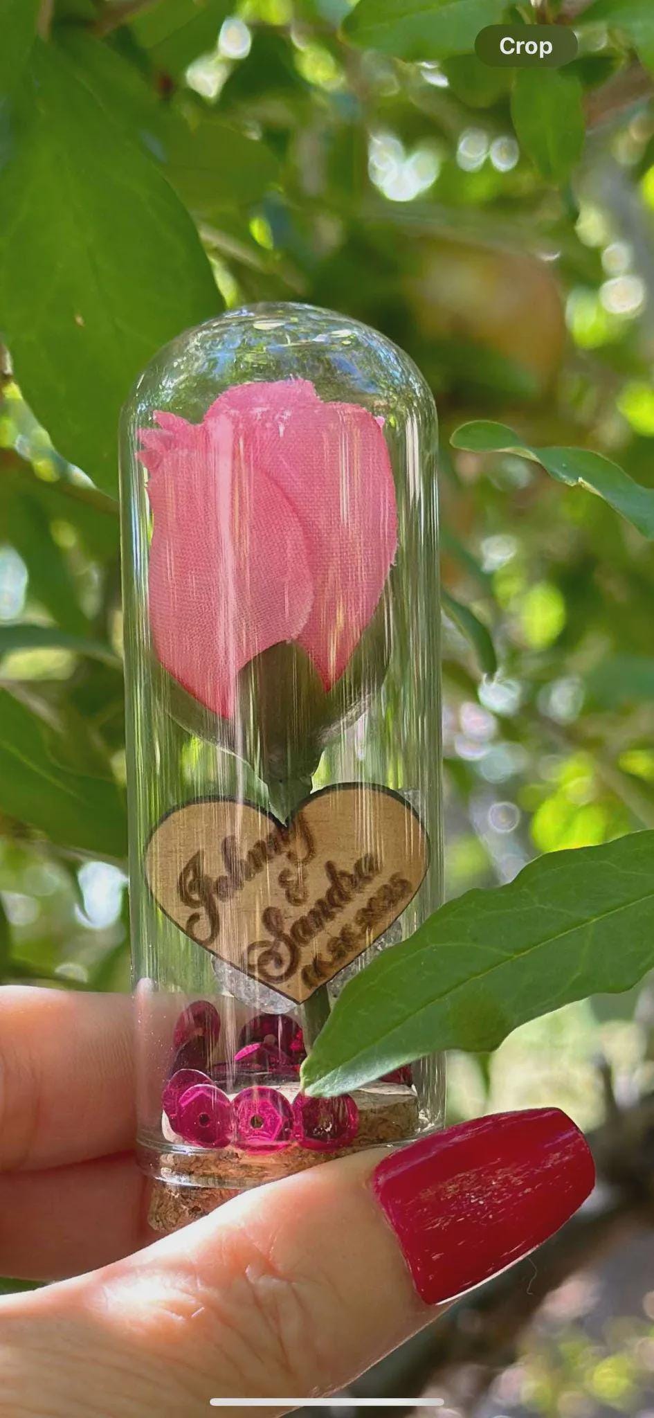 Personalized Pink Rose & Butterfly Favors professional product photo 2